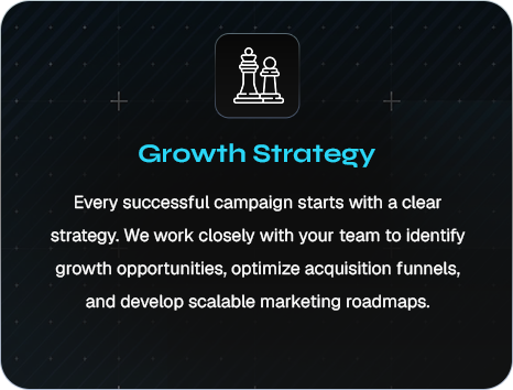 Growth Strategy — Identify growth opportunities and scalable roadmaps.